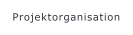 Projektorganisation