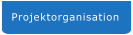 Projektorganisation