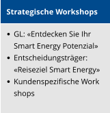 Strategische Workshops    GL: Entdecken Sie Ihr  Smart Energy Potenzial     Entscheidungstrger: Reiseziel Smart Energy    Kundenspezifische Work shops