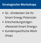 Strategische Workshops    GL: Entdecken Sie Ihr  Smart Energy Potenzial     Entscheidungstrger: Reiseziel Smart Energy    Kundenspezifische Work shops