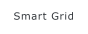 Smart Grid